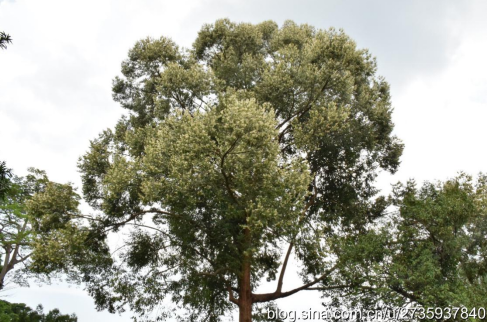 1737427410750044.png image.png